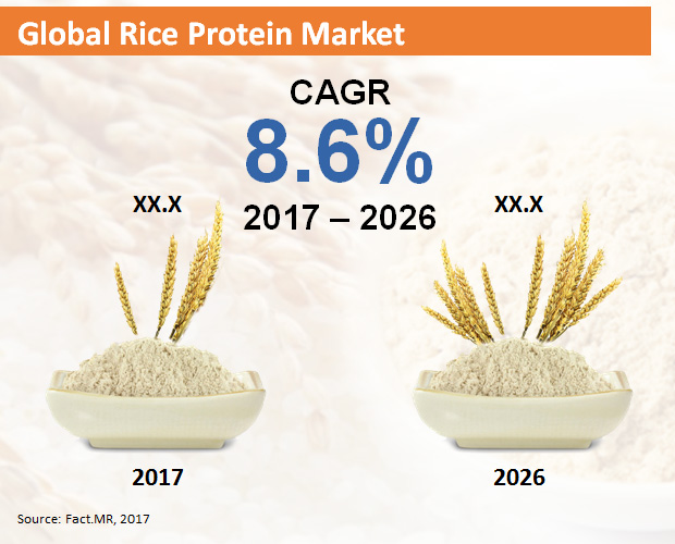 global-rice-protein-market[1]